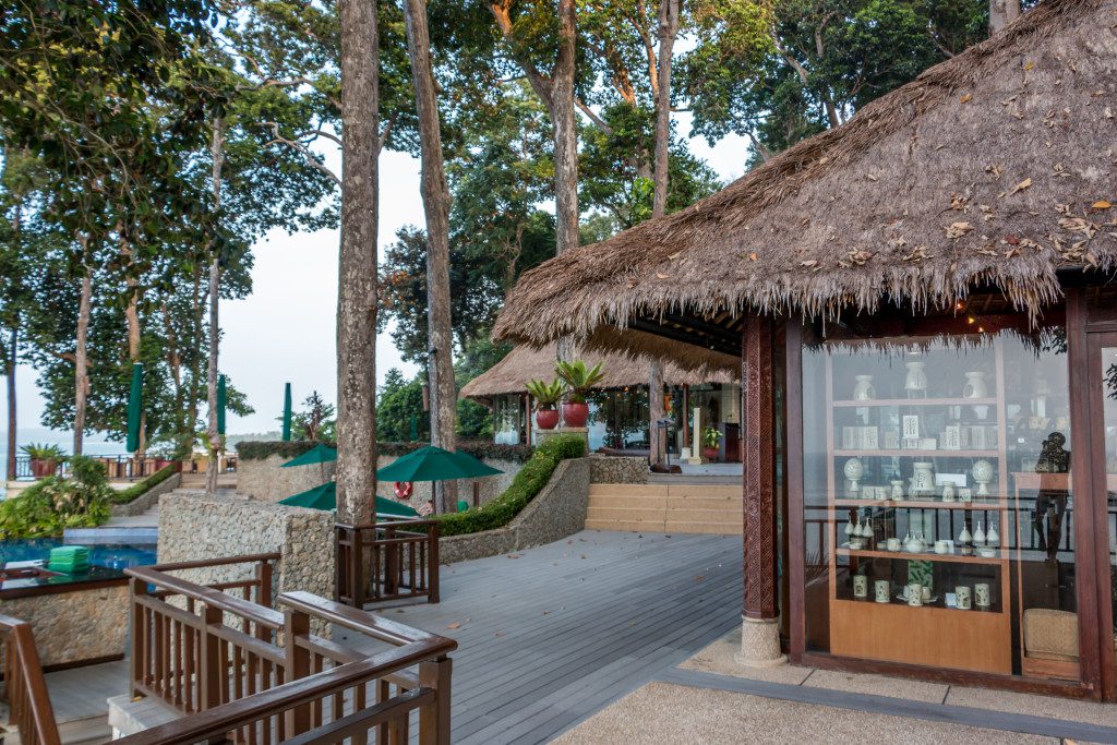 Banyan Tree 19