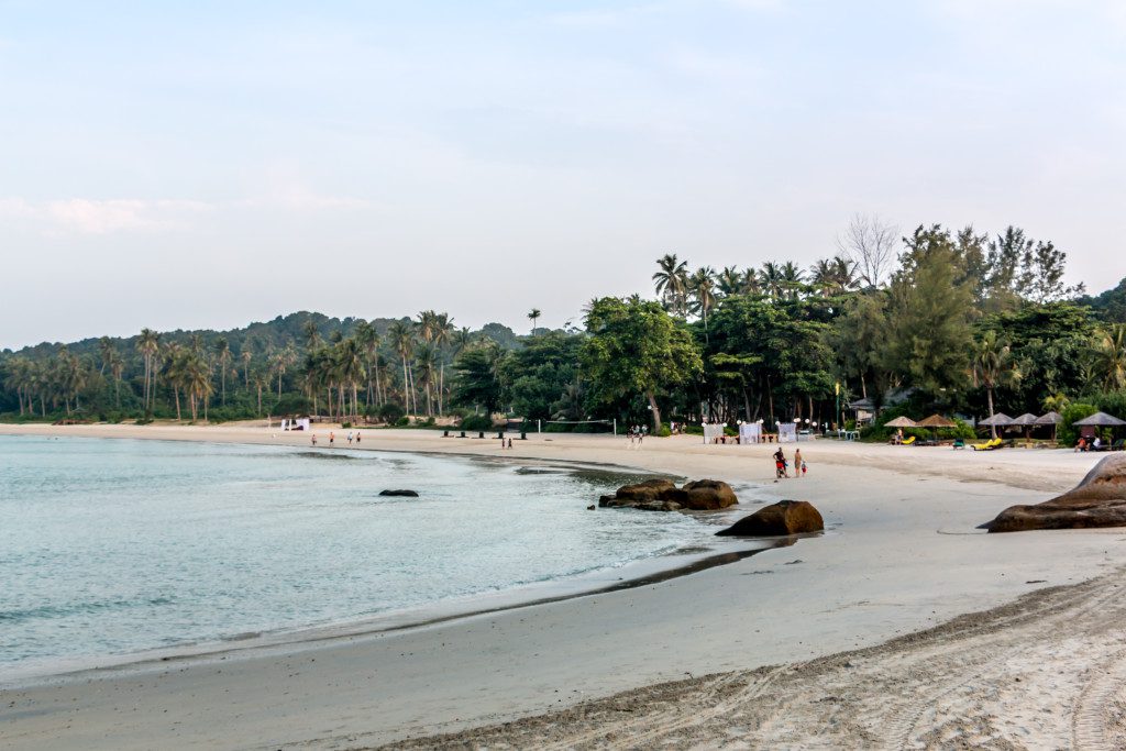 Banyan Tree 22