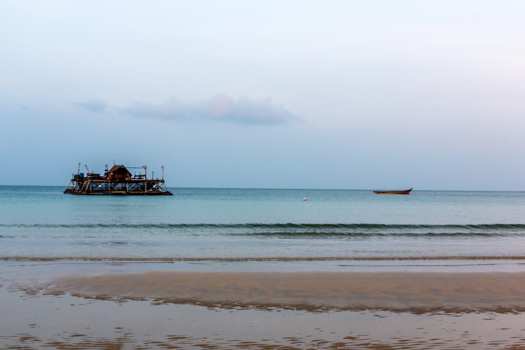 Banyan Tree 27
