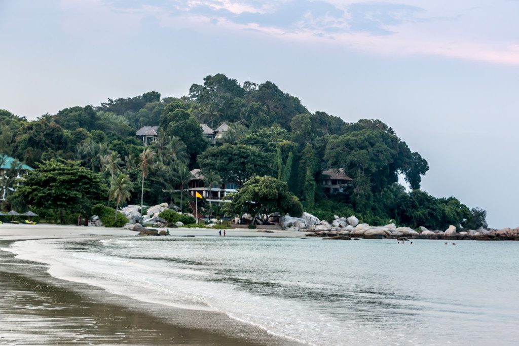 Banyan Tree 31