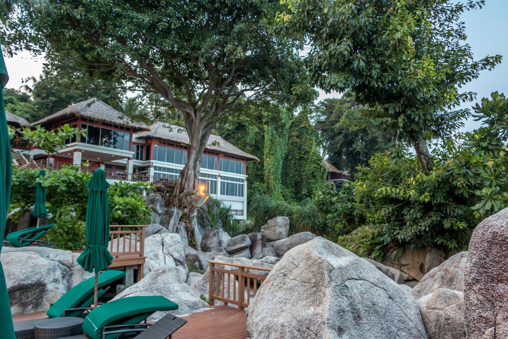 Banyan Tree 35
