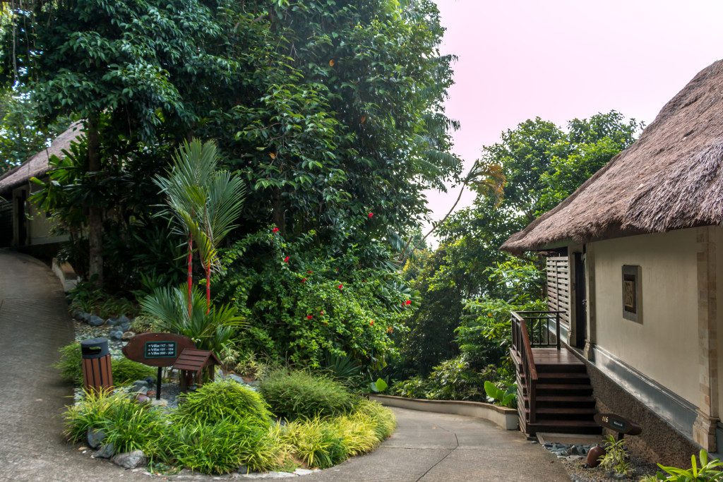 Banyan Tree 7