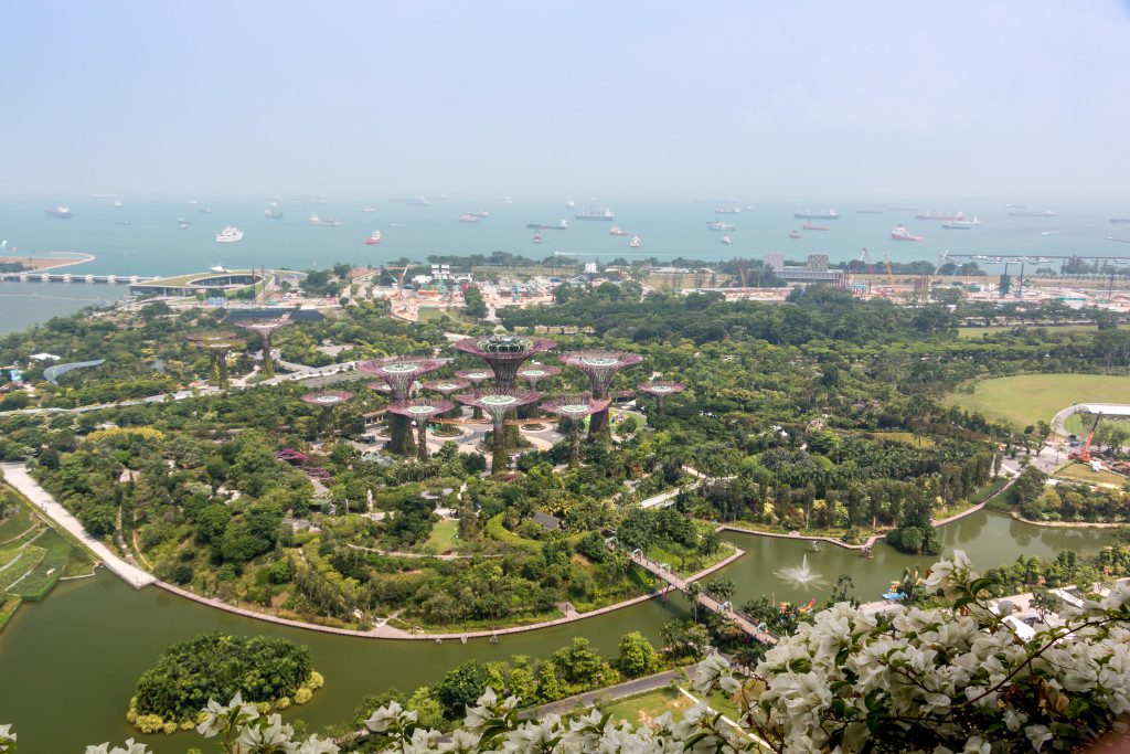 Jardin Marina Bay 1