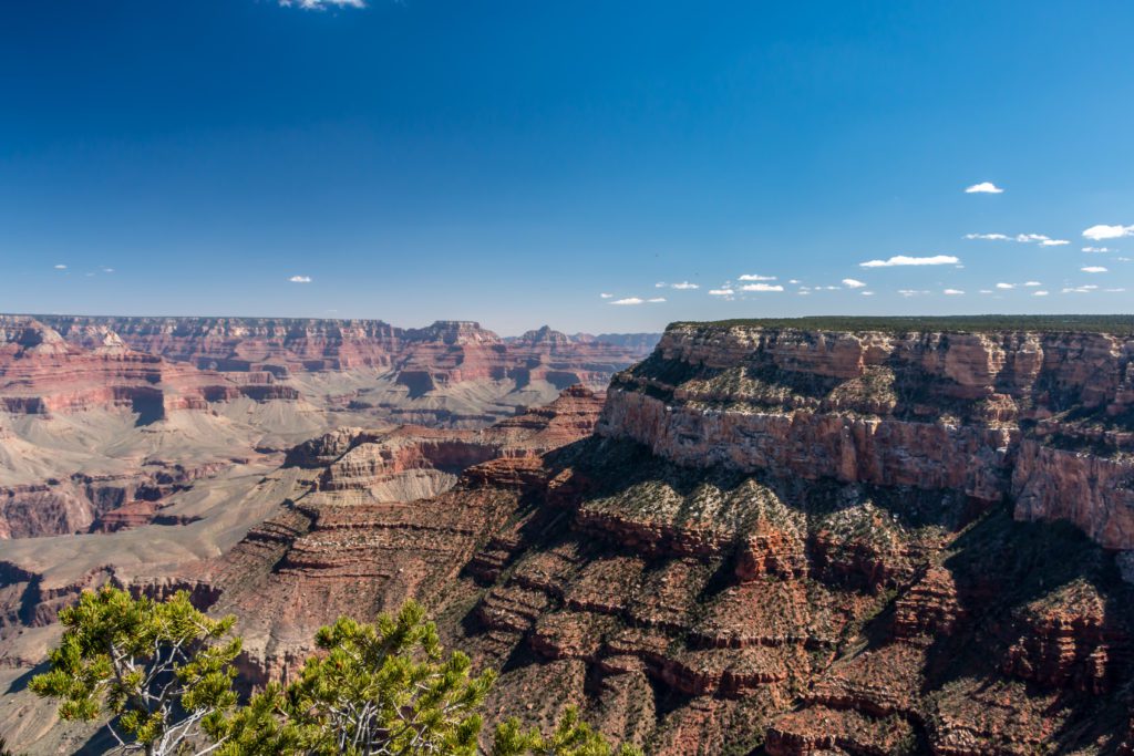 jour_3_grand_canyon_4