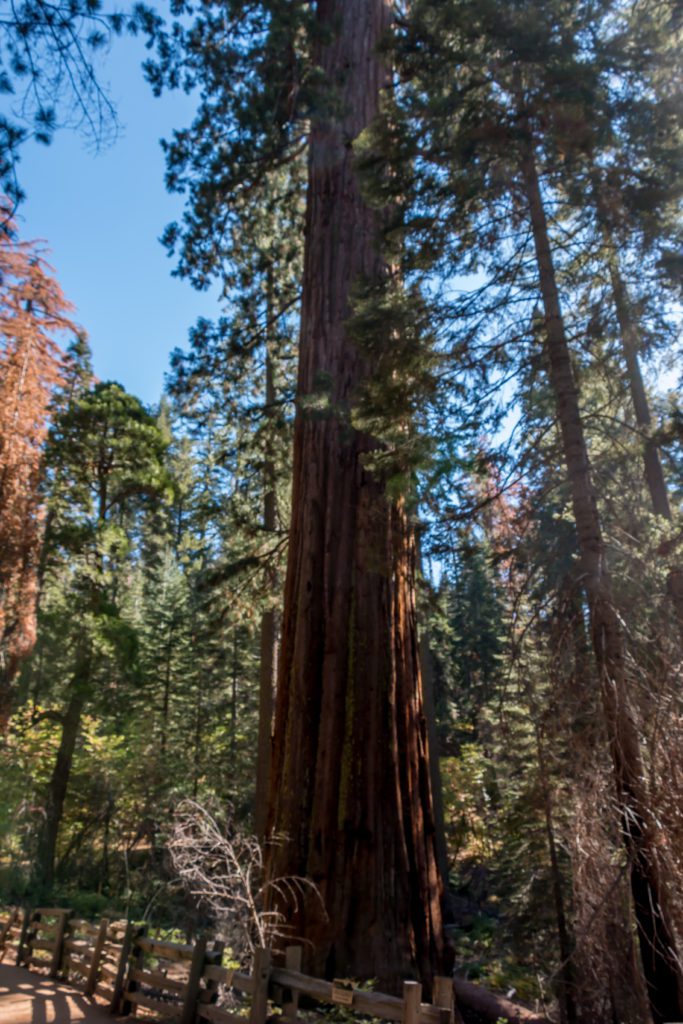 jour_10_yosemite_14