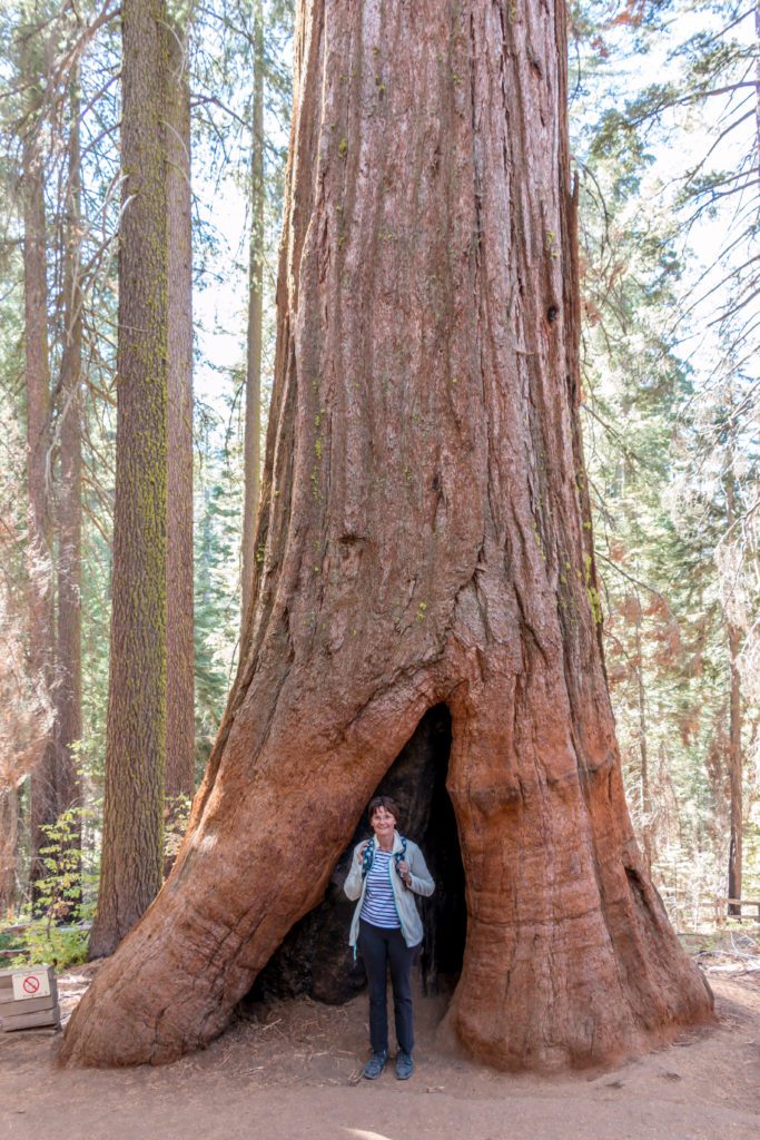 jour_10_yosemite_15
