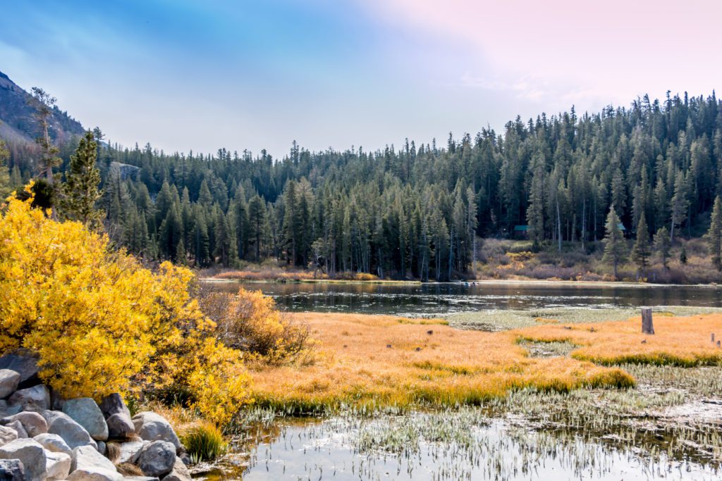 jour_10_yosemite_4