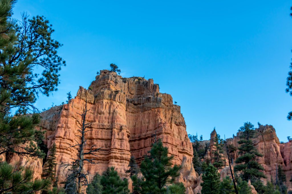 jour_7_red_canyon_1