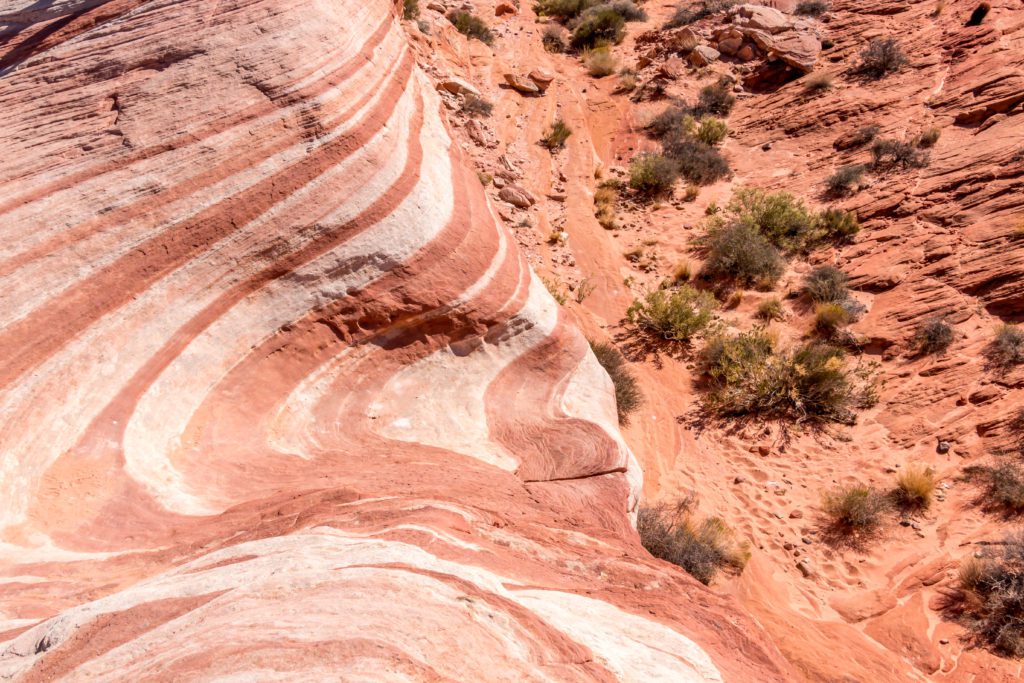 jour_7_valley_of_fire_11