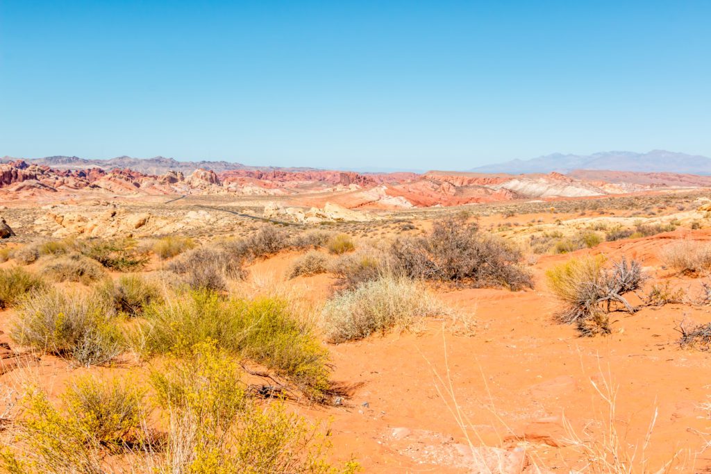 jour_7_valley_of_fire_7