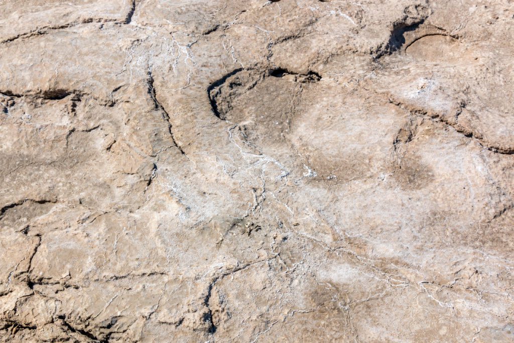 jour_9_death_valley_23