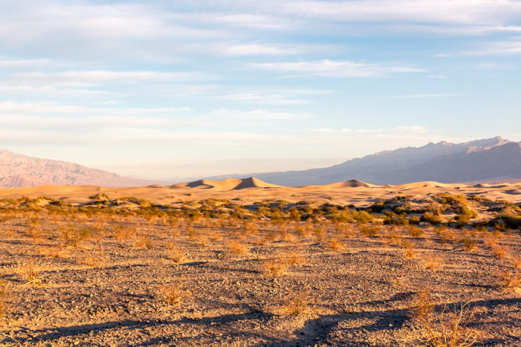 jour_9_death_valley_49