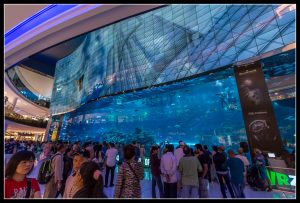 Lire la suite à propos de l’article Aquarium de Dubaï