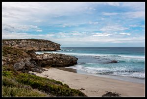 Lire la suite à propos de l’article Pennington Bay sur Kangaroo Island