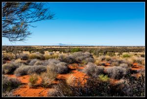 Lire la suite à propos de l’article La route de Ayers Rock vers Kings Canyon.