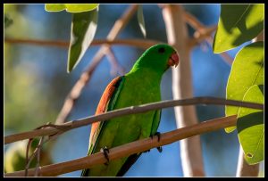 Lire la suite à propos de l’article La route de Kakadu vers Nitmiluk