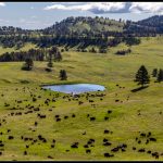 Sur la route de Custer et des Black Hills.