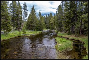 De Old Faithful vers Mammoth Hot Springs