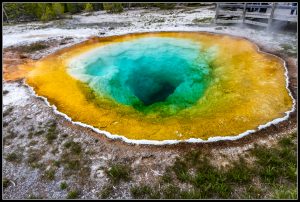 Geyser Hill - Yellowstone
