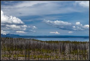 De Cody vers Old Faithful.