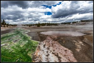 Norris Geyser Basin - Yellowstone