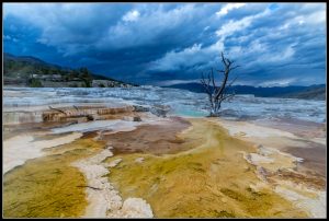 Mammoth Hot Springs - Yellowstone