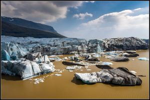 Le glacier Svínafellsjökull.