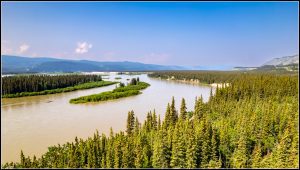 De Dawson City vers Whitehorse