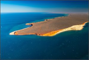 Survol du parc François Peron