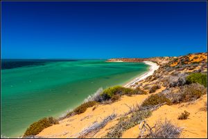 Découverte du Parc François Peron.