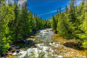 Le Parc de la Gaspésie